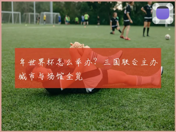 年世界杯怎么举办？三国联合主办城市与场馆全览